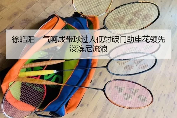 徐皓阳一气呵成带球过人低射破门助申花领先淡滨尼流浪